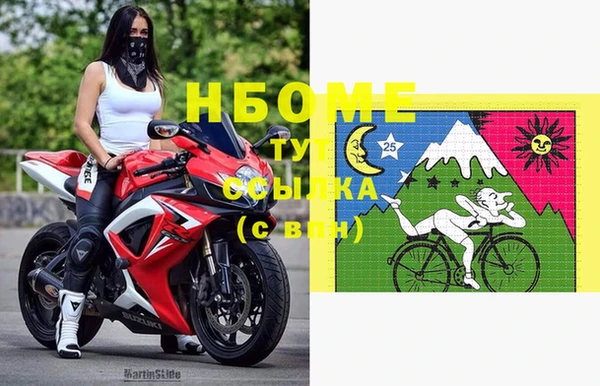 шишки Богородицк