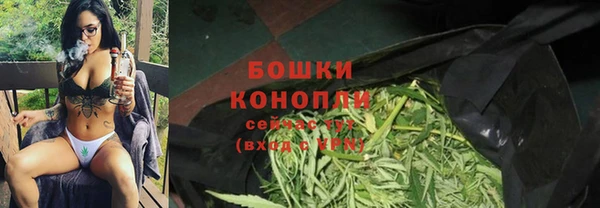 шишки Богородицк