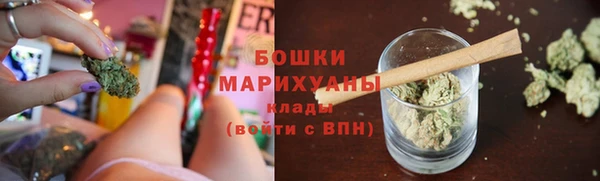 шишки Богородицк