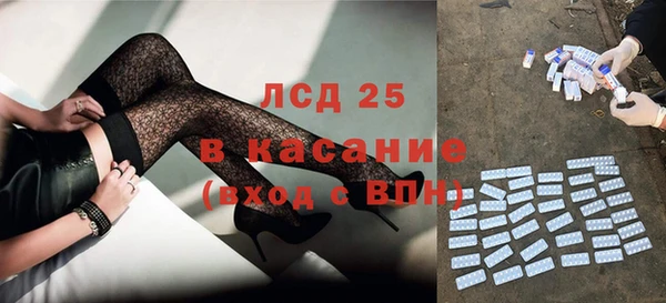шишки Богородицк