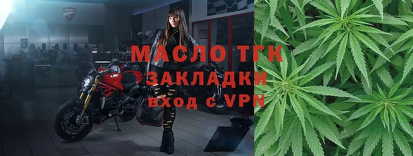 шишки Богородицк